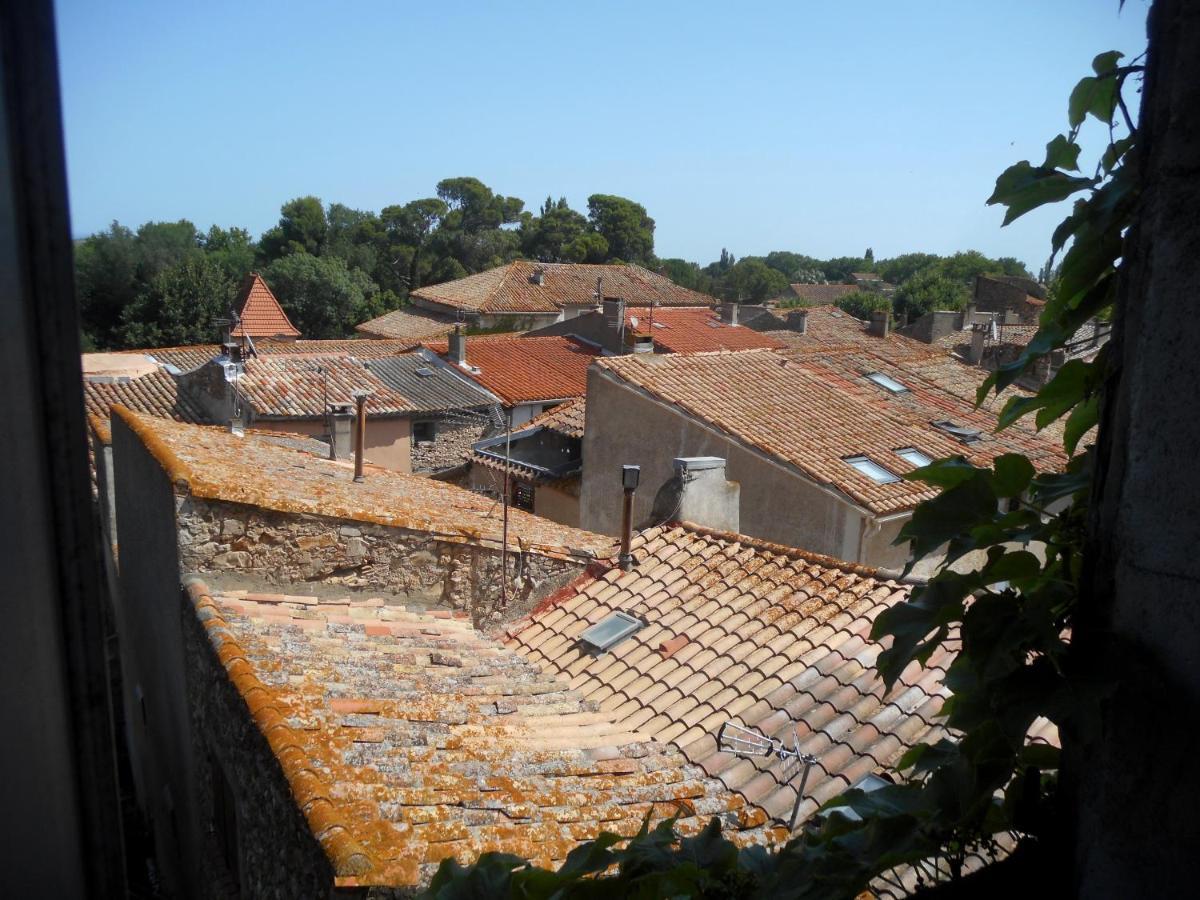 Logis De La Meschaussee, Dans Donjon Du Xie Siecle Canet  Exterior photo